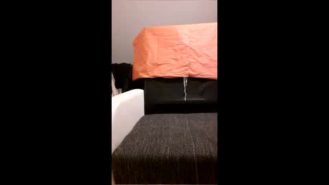 yhoxhbwehhzw online show from April 20, 12:02 am