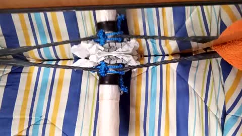 ymasb online show from February 9, 8:56 pm