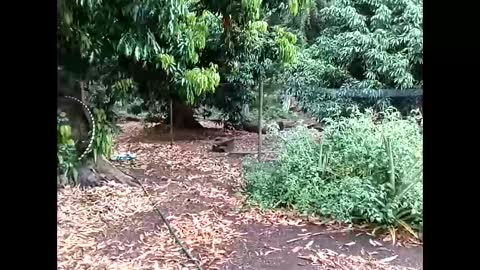 Snapshot of youllfall4me chatting on October 6, 3:11 am youllfall4me online show from October 6, 3:11 am