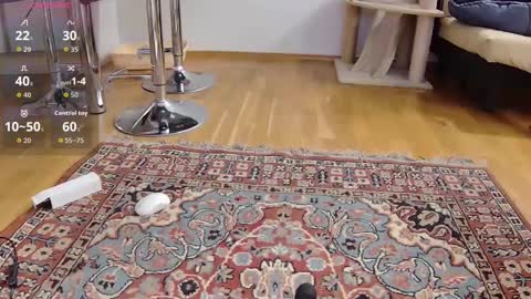 yourbrittyboy69 online show from January 11, 9:18 pm