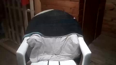 Yuumi online show from November 3, 5:55 am