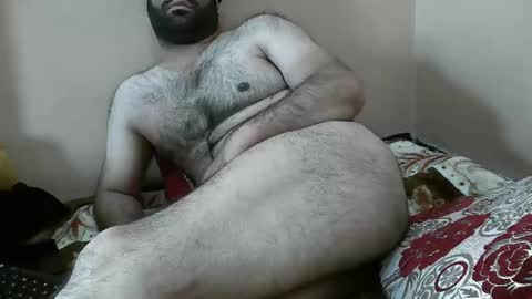 Bi BearXXX online show from February 3, 6:16 am