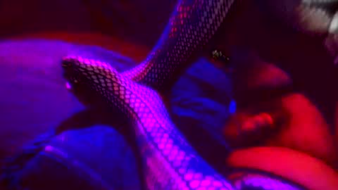 Z0RL0C online show from October 4, 5:56 am