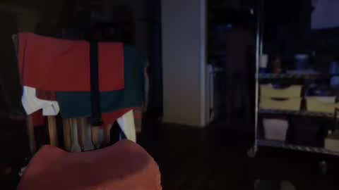 zed_alpha online show from February 13, 10:34 am