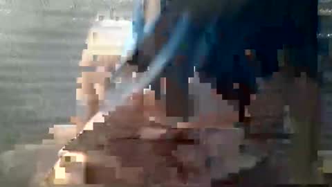 zen0106 online show from January 12, 3:43 am