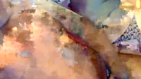 zeph666 online show from January 25, 1:10 am