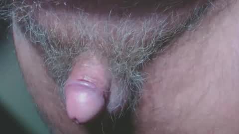 bambi cumslut online show from November 5, 12:45 am