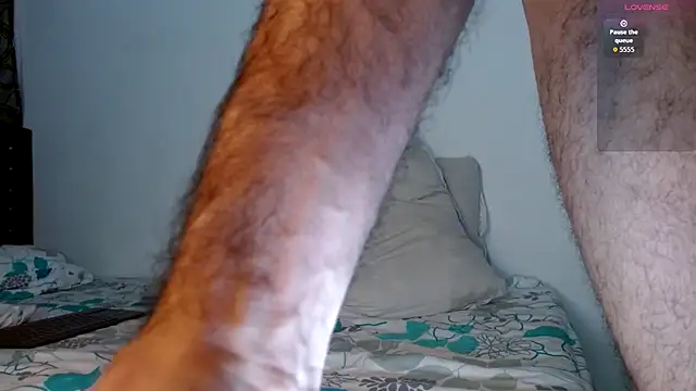 bear 97s online show from September 16, 1:50 am