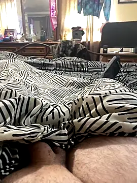 daddddddddyyyy online show from November 17, 3:26 pm