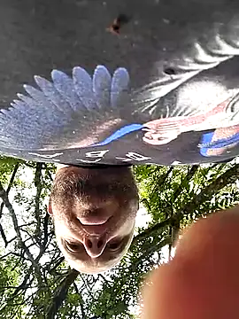 Snapshot of OFICINA_Simas-Turbo chatting on October 1, 12:09 pm OFICINA Simas-Turbo online show from October 1, 12:09 pm