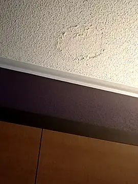 Treemandude online show from November 4, 11:50 pm