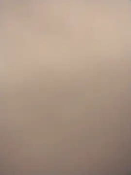 Treemandude online show from December 3, 10:10 am