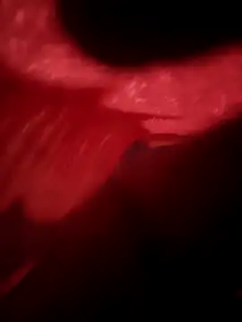 Veer555 online show from December 10, 3:08 am