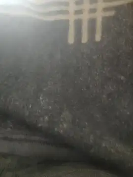 Veer555 online show from February 8, 9:26 am