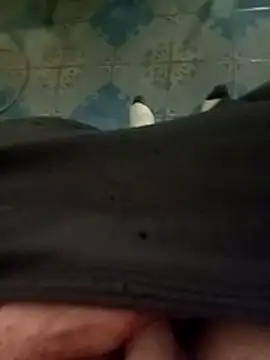 Mattias38 online show from January 10, 4:28 am