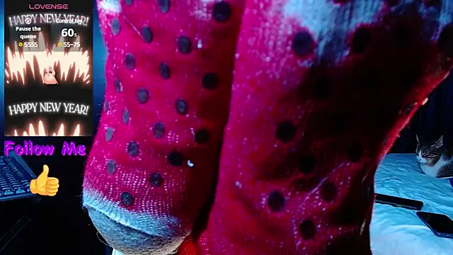 the dog lian online show from January 22, 11:11 pm