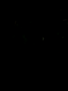 JovenDesobediente online show from October 24, 5:31 am