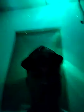 jaycob fox online show from February 21, 5:41 am