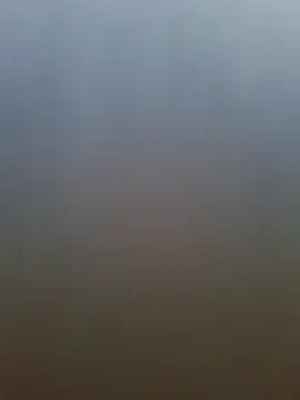 pachapeter online show from April 20, 12:51 pm