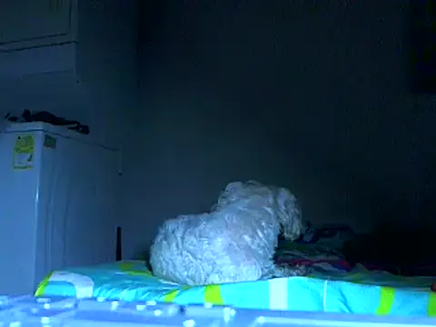 Ian zaenzz online show from October 20, 6:17 am