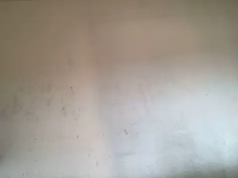 Colombianbbc  online show from November 21, 1:21 pm