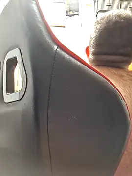 Javier bear online show from October 9, 9:47 am