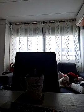 Javier bear online show from October 6, 8:41 am