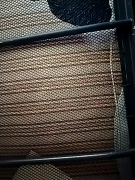 Luiz 097 online show from January 11, 7:23 am