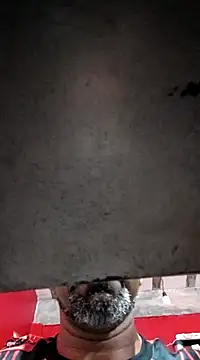 Sergipano fogozinho online show from March 22, 12:49 am