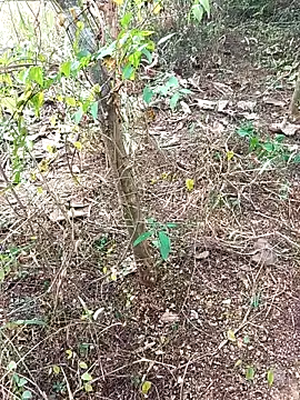 HathodaTyagi123 online show from December 8, 7:37 am