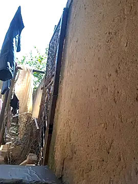 Petrossa online show from March 31, 11:34 am