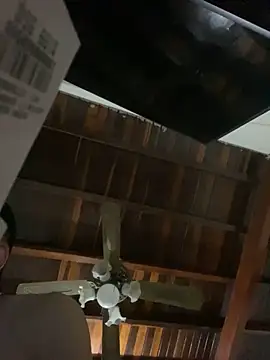 tom thick online show from December 19, 9:07 am