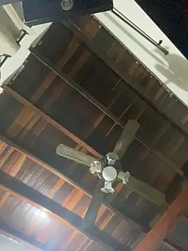 tom thick online show from December 20, 9:54 am