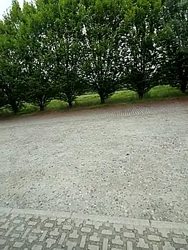 passivello98xxx online show from April 17, 9:01 am