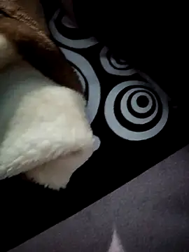 Princes7774 online show from January 5, 6:00 pm