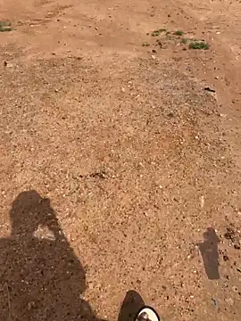 Black-mamba-madingo online show from March 28, 9:42 am