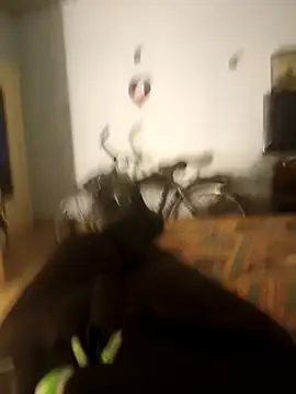 italovene online show from November 29, 7:27 pm