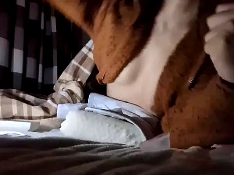 pnp0Japan online show from January 11, 7:59 pm