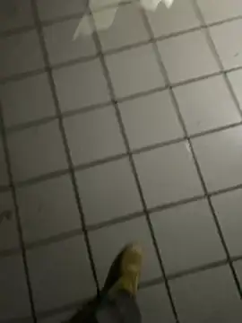 nowex18 online show from February 20, 4:53 am