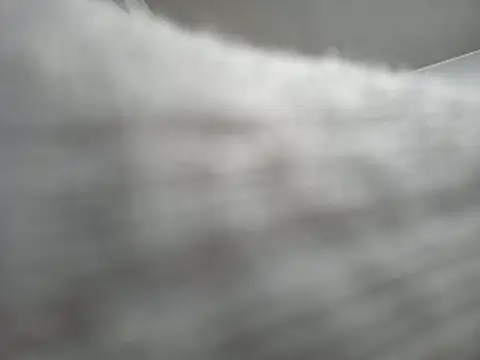 Terry Bogardd online show from November 13, 9:36 am