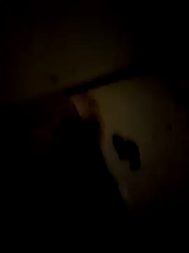 toannemo online show from January 16, 8:33 pm