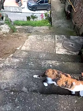 mordelon07 online show from February 14, 8:04 pm