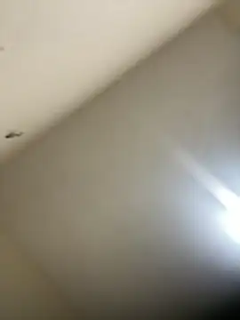 Malandralle online show from February 21, 12:11 am