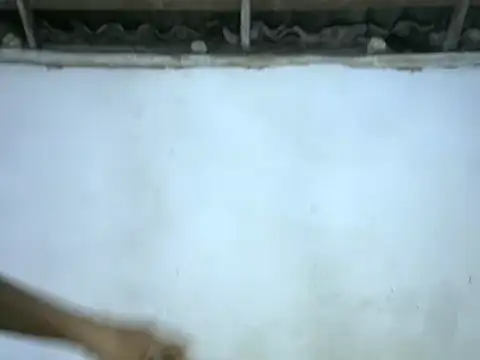 michel sc online show from October 25, 9:33 am