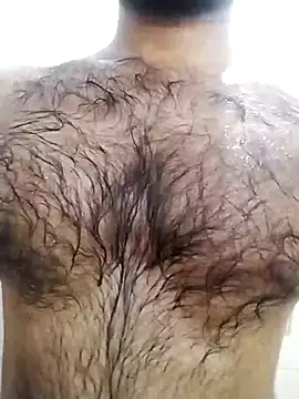 hairy gun online show from October 8, 12:09 pm