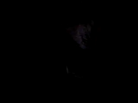 Snapshot of bogbosdick chatting on March 3, 8:18 pm bogbosdick online show from March 3, 8:18 pm