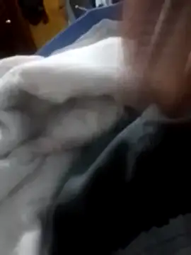 betinhodelas online show from February 3, 12:08 am