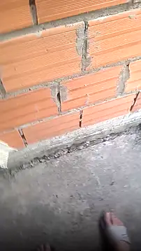 mendelicius online show from November 14, 11:44 am