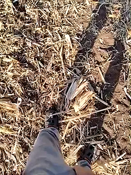 murokkk31 online show from September 18, 4:58 am