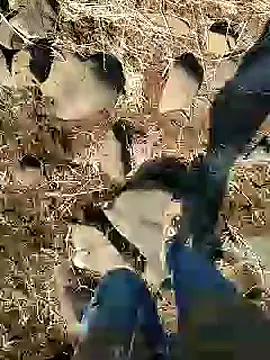 murokkk31 online show from January 25, 9:15 am